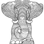 Previous Attachment