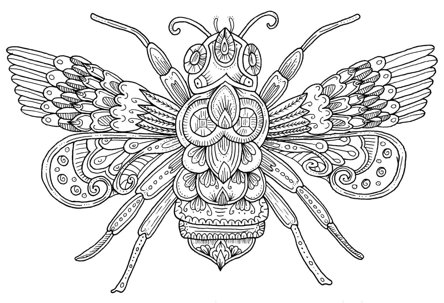 Ausmalbilder Zentangle Kostenlos Malvorlagen Zum Ausdrucken