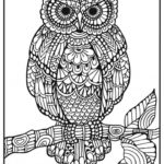 Raskrasil.com-Coloring-Pages-Zentangle-71
