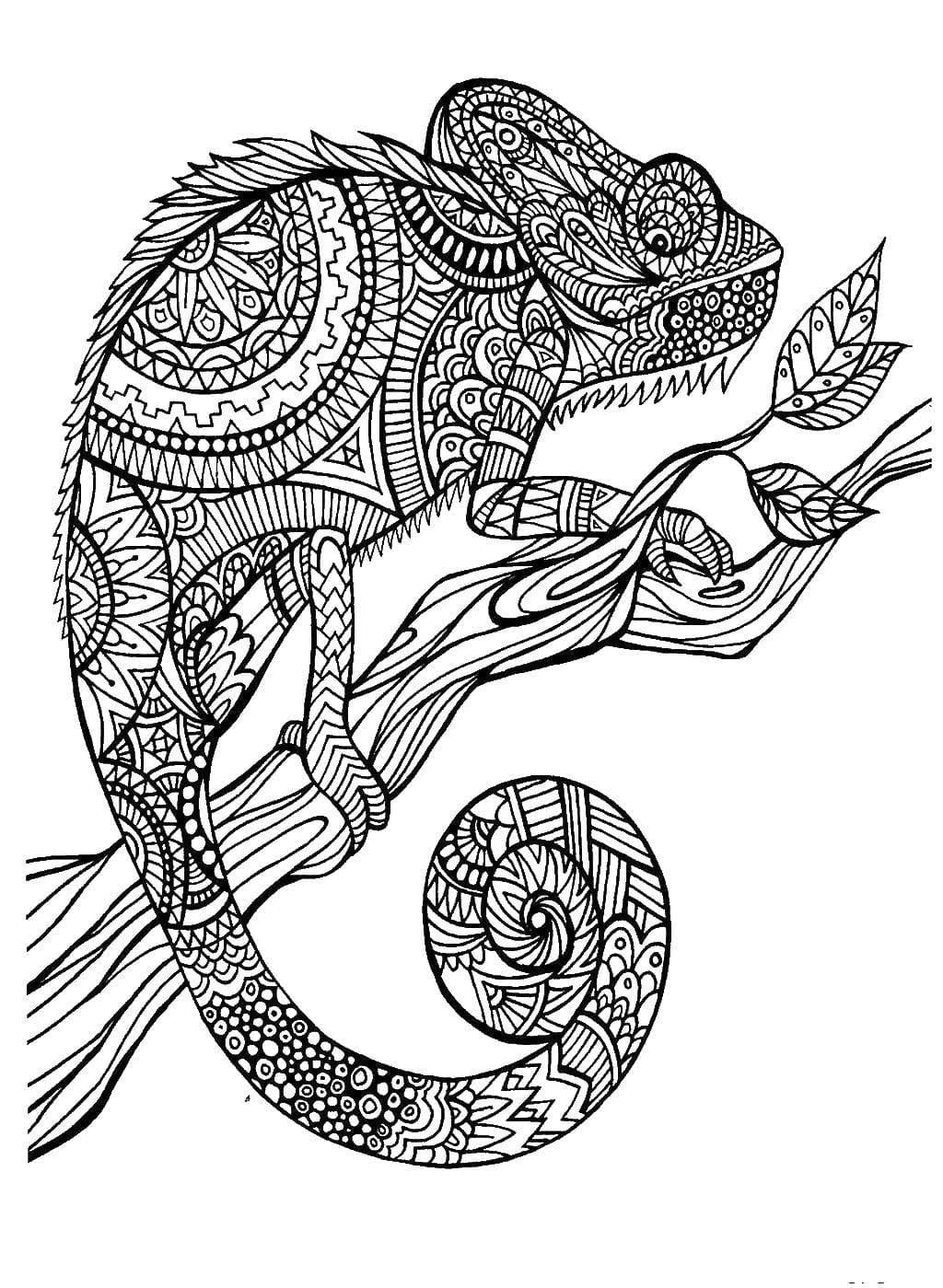 Raskrasil.com-Coloring-Pages-Zentangle-76