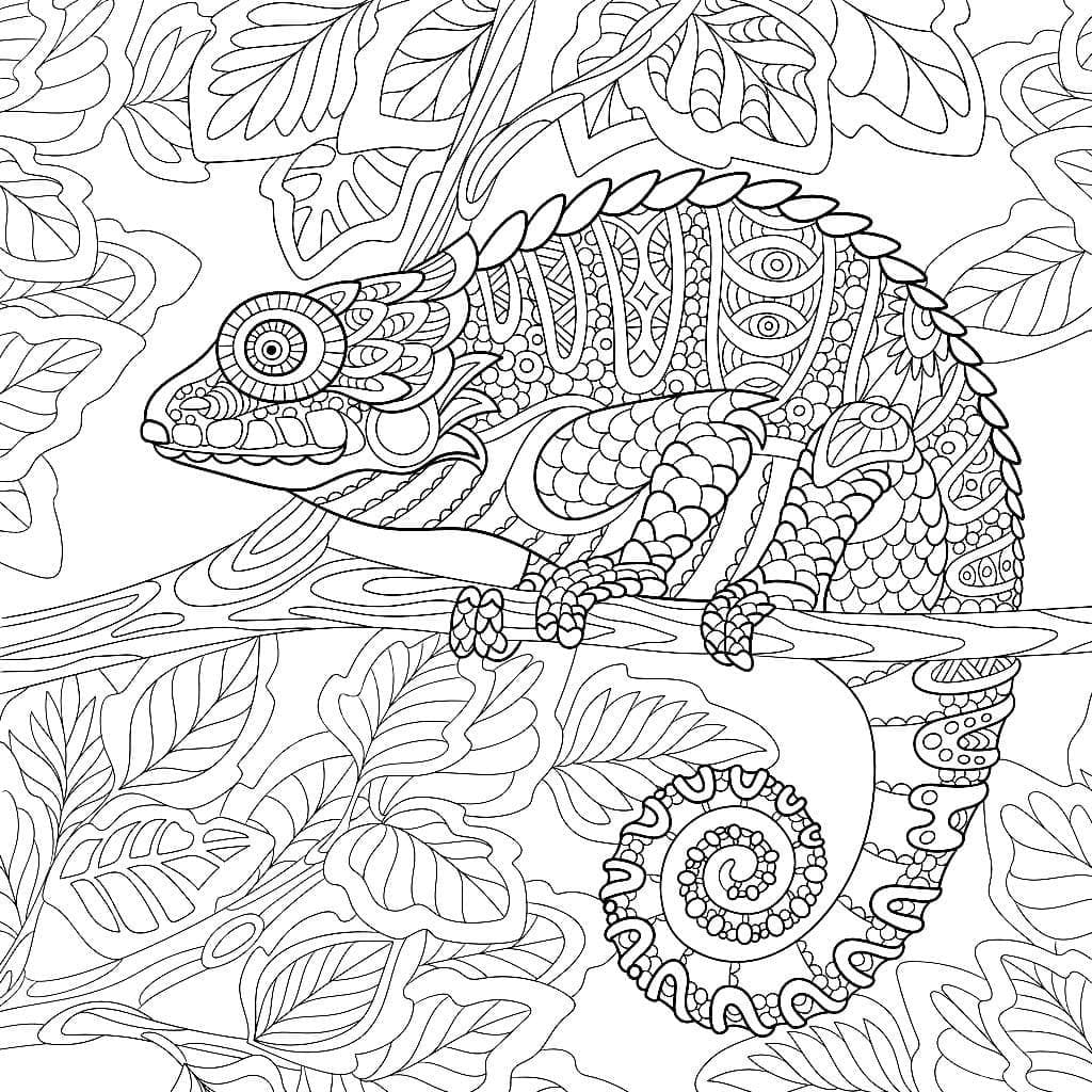 Raskrasil.com-Coloring-Pages-Zentangle-81