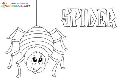 Раскраски Паук | Распечатать бесплатно