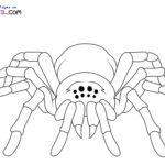 Raskrasil.com-New-Coloring-Pages-Spider-10