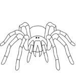 Raskrasil.com-New-Coloring-Pages-Spider-3