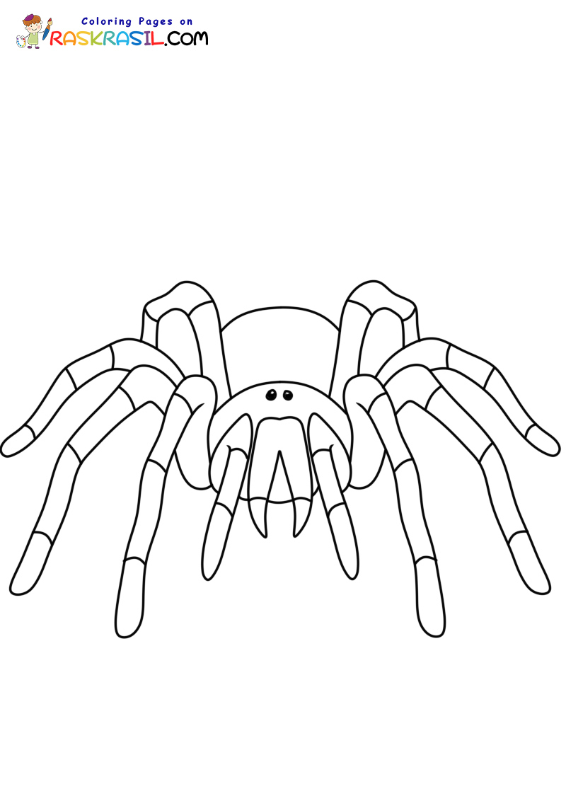 Raskrasil.com-New-Coloring-Pages-Spider-3