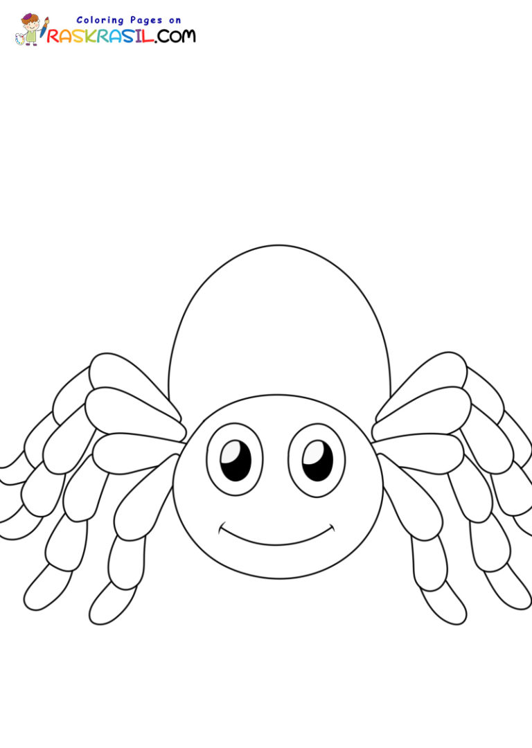 Dibujos de Arañas para Colorear