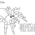 Raskrasil.com-New-Coloring-Pages-Spider-6