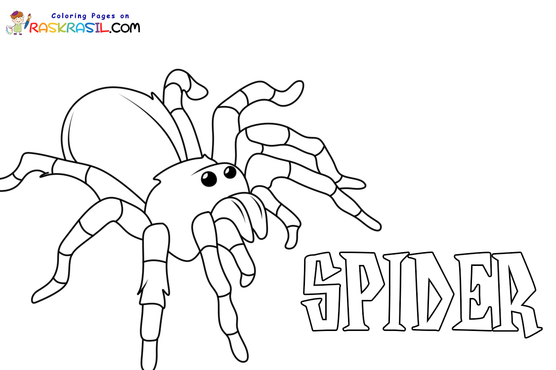 Raskrasil.com-New-Coloring-Pages-Spider-6