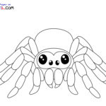 Raskrasil.com-New-Coloring-Pages-Spider-7