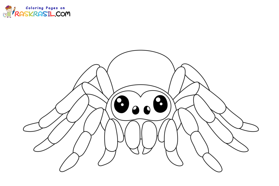 Raskrasil.com-New-Coloring-Pages-Spider-7