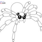 Raskrasil.com-New-Coloring-Pages-Spider-9