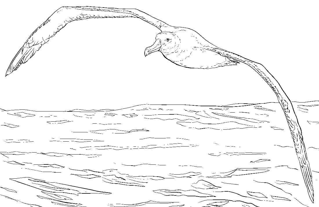 Raskrasil.com-Sea-Coloring-Pages-12