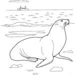 Raskrasil.com-Sea-Coloring-Pages-20
