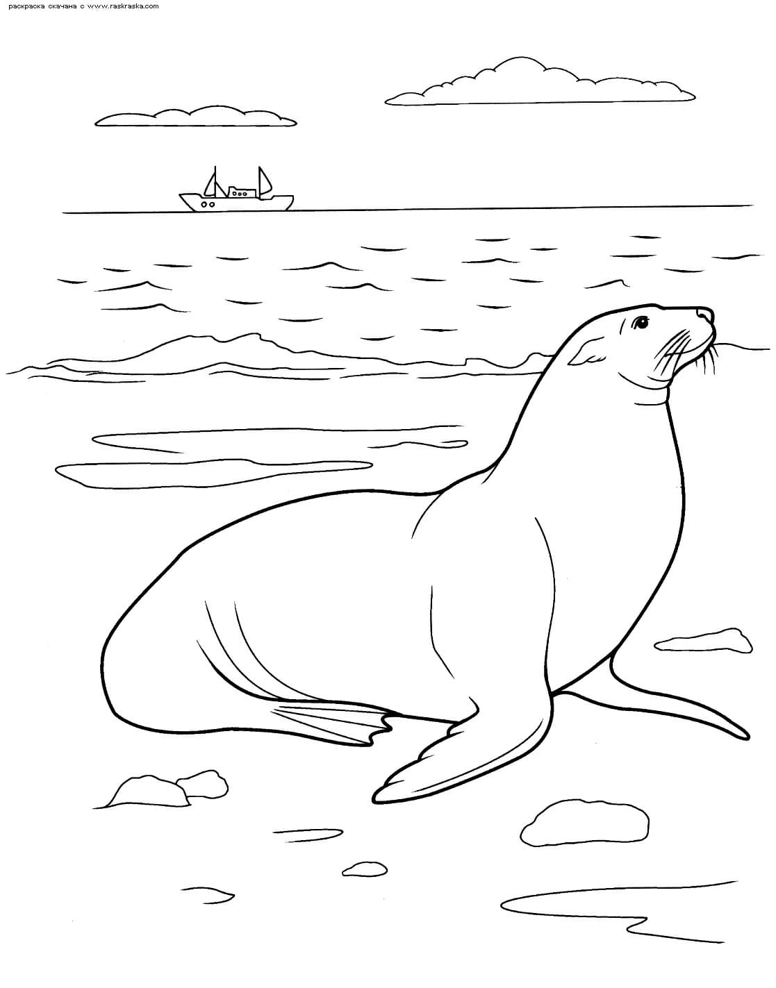 Raskrasil.com-Sea-Coloring-Pages-20