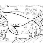 Raskrasil.com-Sea-Coloring-Pages-23