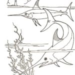 Raskrasil.com-Sea-Coloring-Pages-29