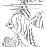 Raskrasil.com-Sea-Coloring-Pages-34