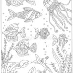 Raskrasil.com-Sea-Coloring-Pages-47
