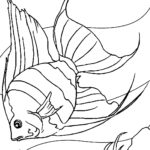 Raskrasil.com-Sea-Coloring-Pages-5