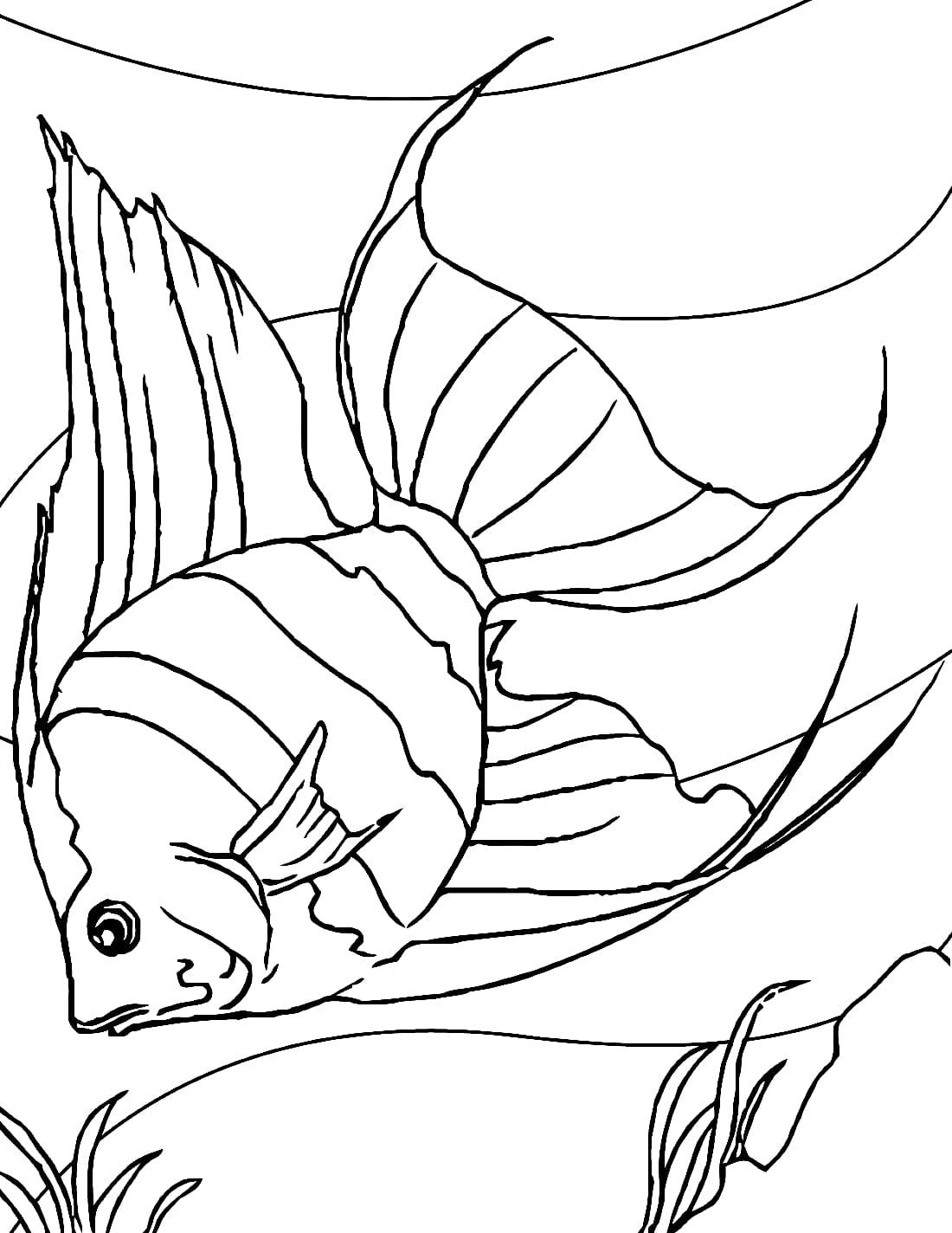 Raskrasil.com-Sea-Coloring-Pages-5