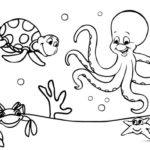 Raskrasil.com-Sea-Coloring-Pages-67