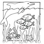 Raskrasil.com-Sea-Coloring-Pages-95