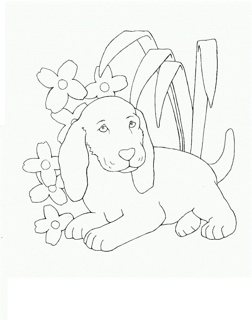 Raskrasil.com-8-Years-Old-Coloring-Pages-3