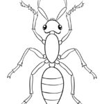 Raskrasil.com-9-Years-Old-Coloring-Pages-82