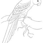 Raskrasil.com-9-Years-Old-Coloring-Pages-85