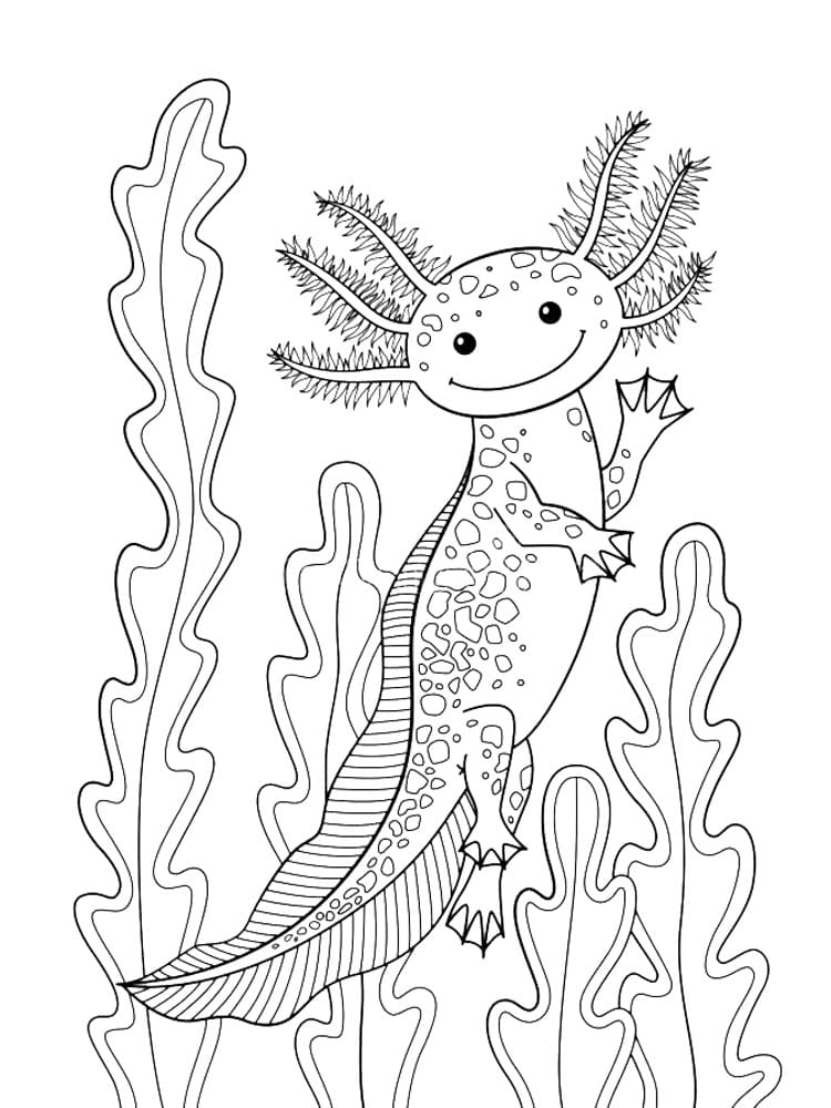 Ausmalbilder Axolotl Kostenlos Malvorlagen Zum Ausdrucken
