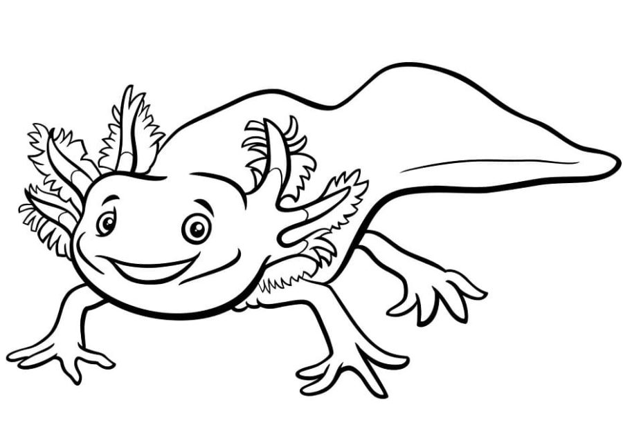Coloriage Axolotl à imprimer