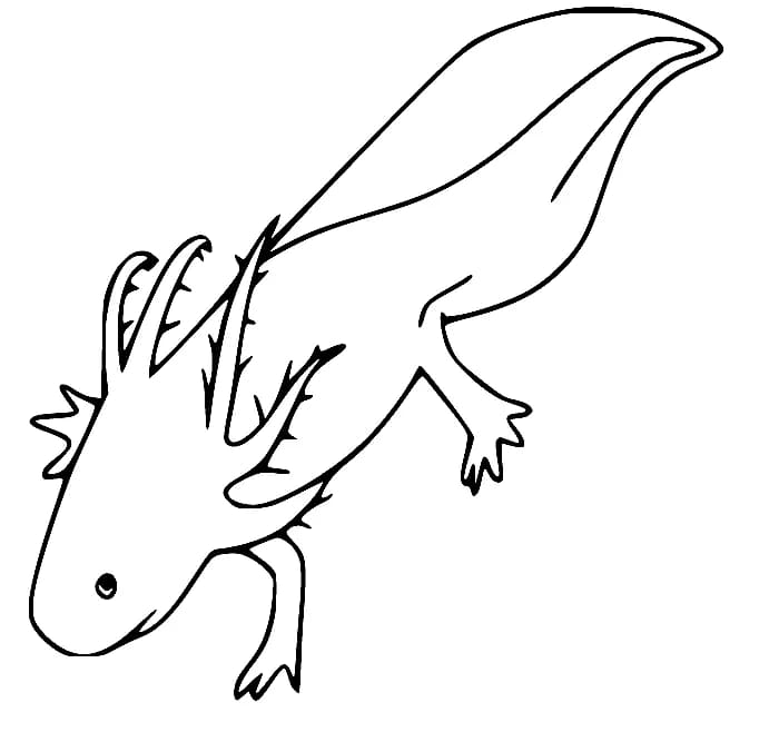 Ausmalbilder Axolotl | Kostenlos Malvorlagen zum Ausdrucken