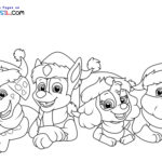 Raskrasil.com-Coloring-Pages-All-Team-Paw-Patrol-Christmas