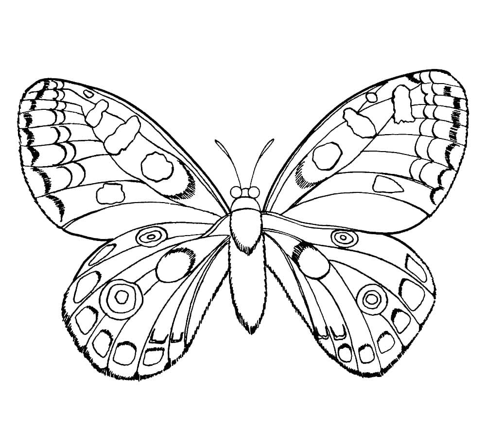 Raskrasil.com-Coloring-Pages-For-Girls-24