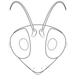 Raskrasil.com-Coloring-Pages-Masks-122