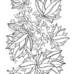Raskrasil.com-Coloring-Pages-Pattern-28