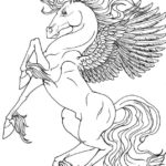 Raskrasil.com-Coloring-Pages-Pegasus-23