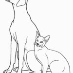 Raskrasil.com-Dog-And-Cat-Coloring-Pages-102