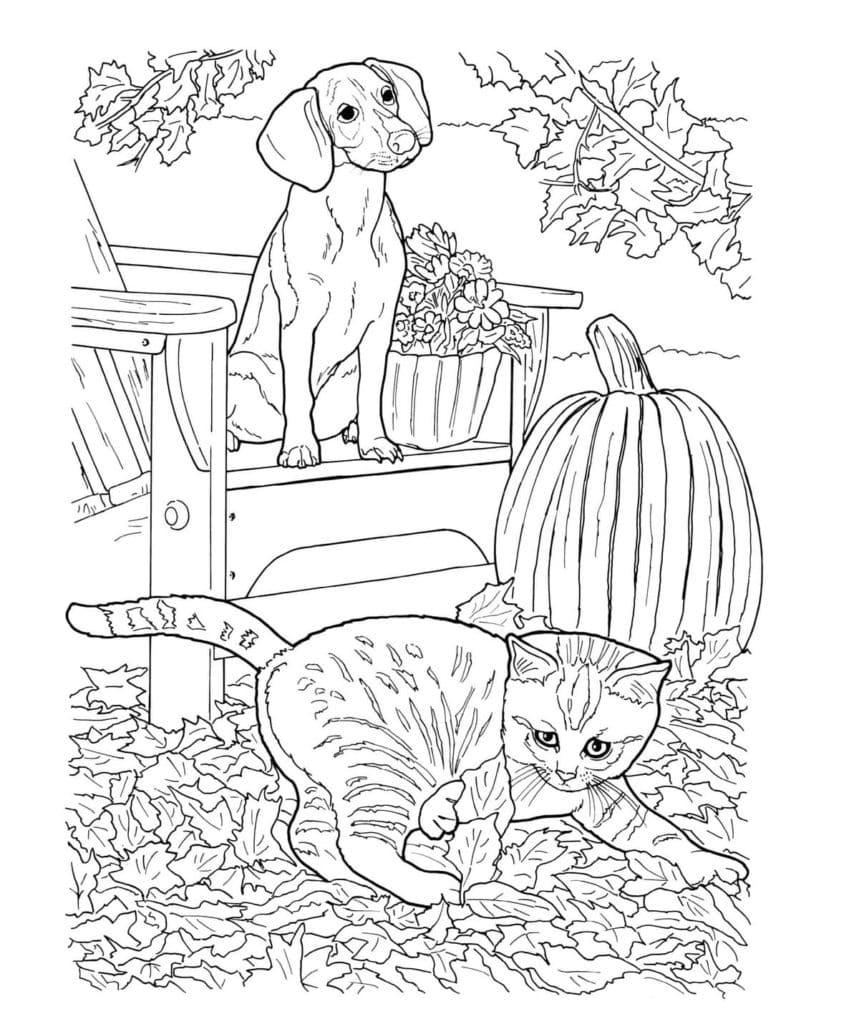 Raskrasil.com-Dog-And-Cat-Coloring-Pages-13