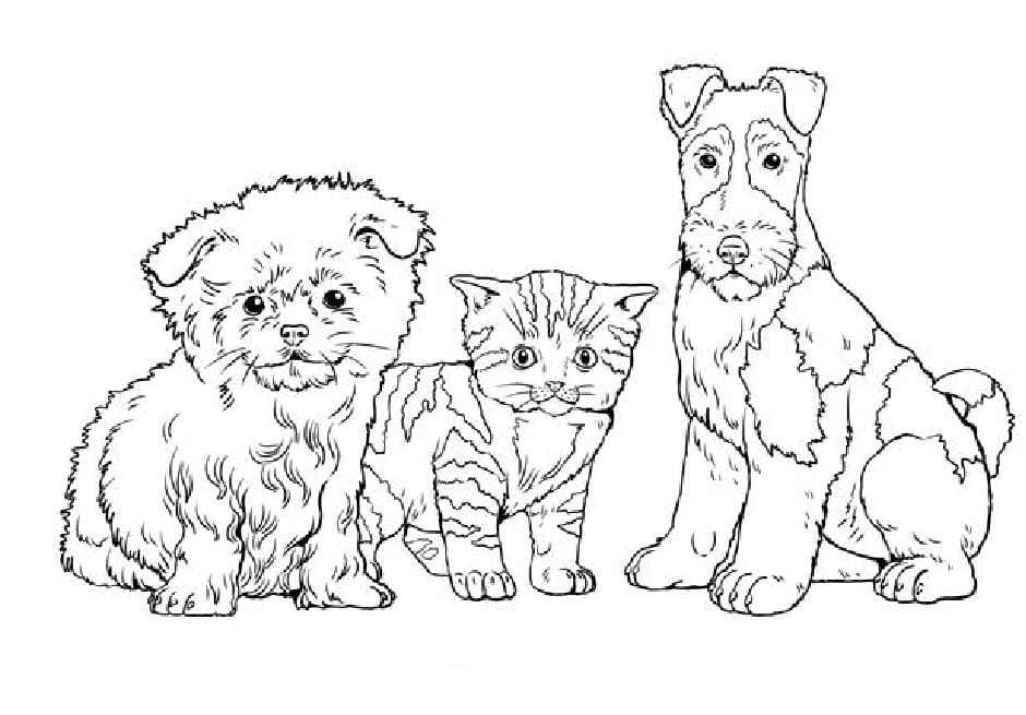 Raskrasil.com-Dog-And-Cat-Coloring-Pages-19