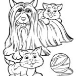 Raskrasil.com-Dog-And-Cat-Coloring-Pages-43