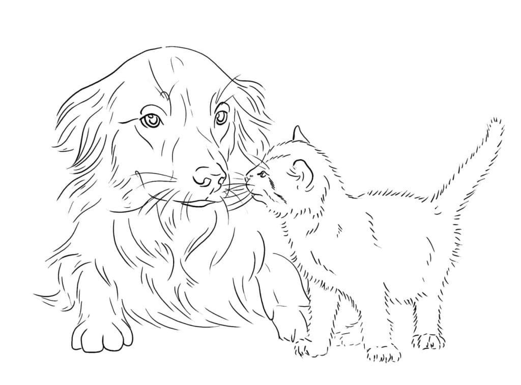 Raskrasil.com-Dog-And-Cat-Coloring-Pages-79