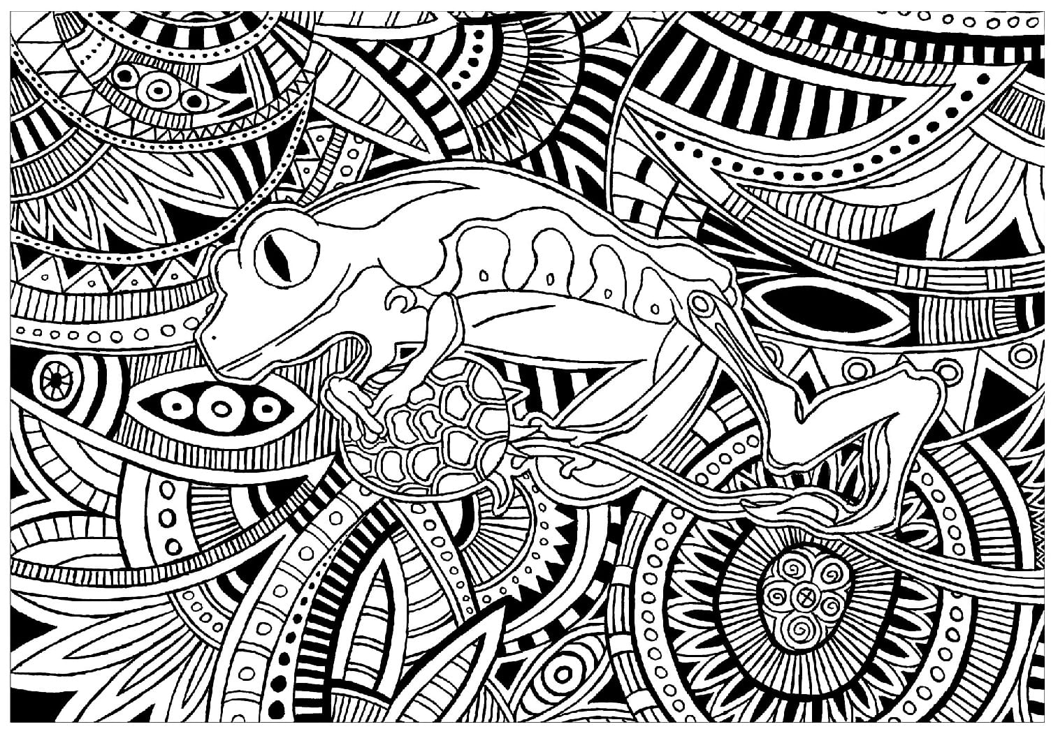 Raskrasil.com-Frog-Coloring-Pages-1