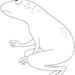 Raskrasil.com-Frog-Coloring-Pages-101