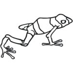 Raskrasil.com-Frog-Coloring-Pages-104