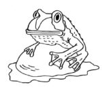 Raskrasil.com-Frog-Coloring-Pages-109
