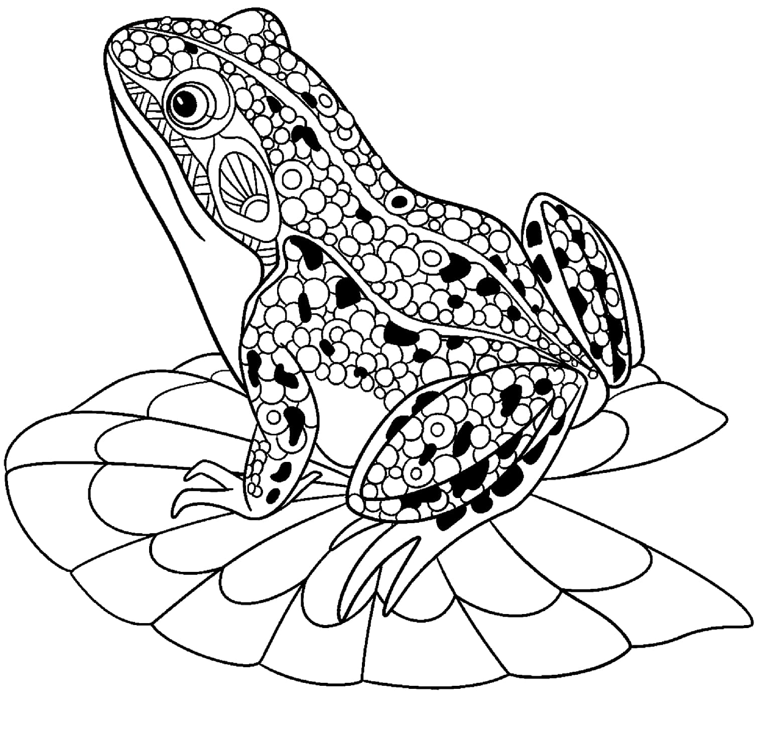 Raskrasil.com-Frog-Coloring-Pages-2