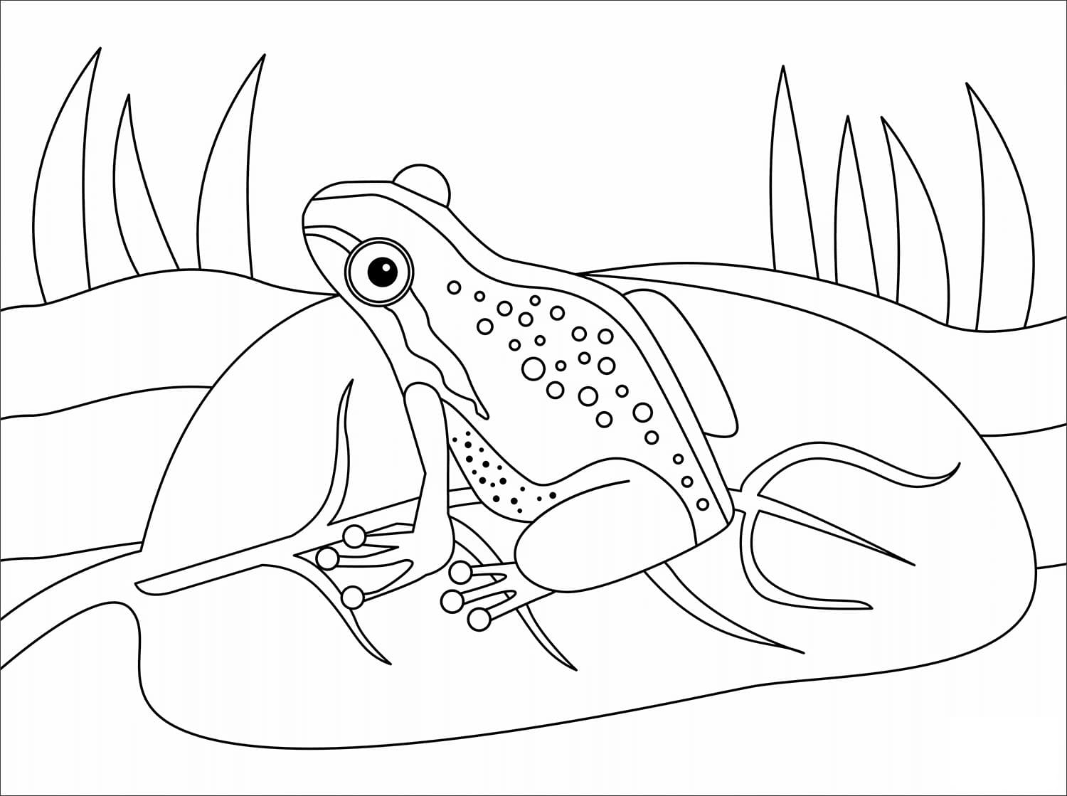 Raskrasil.com-Frog-Coloring-Pages-23