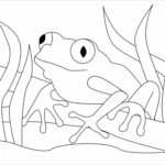 Raskrasil.com-Frog-Coloring-Pages-34