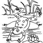Raskrasil.com-Frog-Coloring-Pages-4